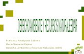 Francisco Rivasplata Cabrera Mario Samamé Espino Derecho, Ambiente y Recursos Naturales (DAR)