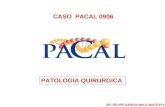 CASO PACAL 0906 PATOLOGIA QUIRURGICA DR. FELIPE GARCIA MALO BAUTISTA.