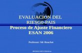 MH BOUCHET/CERAM (c) EVALUACION DEL RIESG0-PAIS Proceso de Ajuste Financiero ESAN 2006 Professor: Mr Bouchet.