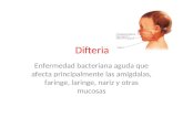 Difteria Enfermedad bacteriana aguda que afecta principalmente las amígdalas, faringe, laringe, nariz y otras mucosas.