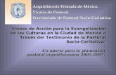 "Líneas de Acción para la Evangelización de las Culturas en la Ciudad de México a Través del Testimonio de la Pastoral Socio-Caritativa" Un aporte para.