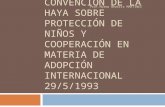 CONVENCIÓN DE LA HAYA SOBRE PROTECCIÓN DE NIÑOS Y COOPERACIÓN EN MATERIA DE ADOPCIÓN INTERNACIONAL 29/5/1993 Prof.Norma Beatriz MARTINEZ.