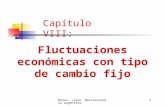 Braun, Llach: Macroeconomia argentina 1 Capítulo VIII: Fluctuaciones económicas con tipo de cambio fijo.