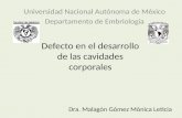 Universidad Nacional Autónoma de Mèxico Departamento de Embriología Dra. Malagón Gómez Mónica Leticia.