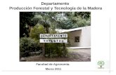 1 Departamento Producción Forestal y Tecnología de la Madera Facultad de Agronomía. Marzo 2011.