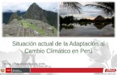 Situación actual de la Adaptación al Cambio Climático en Perú Piura, 07 de Diciembre de 2009.
