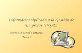 Informática Aplicada a la Gestión de Empresas (IAGE) Parte III Excel e Internet Tema 2.