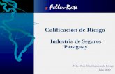 Calificación de Riesgo Industria de Seguros Paraguay Feller Rate Clasificadora de Riesgo Julio 2012.