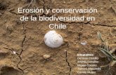 Erosión y conservación de la biodiversidad en Chile Integrantes: Denisse Castillo Andrés Ceballos Miguel Cozano Tamara Matamala Camila Muñoz.