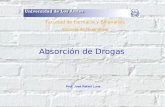 Absorción de Drogas Prof. José Rafael Luna Facultad de Farmacia y Bioanálisis Escuela de Bioanálisis.