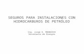 SEGUROS PARA INSTALACIONES CON HIDROCARBUROS DE PETRÓLEO Ing. Jorge E. MANGOSIO Secretaría de Energía.