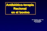 Antibiótico-terapia Racional en el bovino Prof. Alejandro L. Soraci Ph.D Area Toxicología Dpto Fisiopatología FCV-UNCPBA.