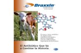 Química y Modo de Acción Ingrediente Activo de Draxxin : Tulatromicina Primera de una nueva clase de macrólidos, las Triamilidas, sintetizada y desarrollada.