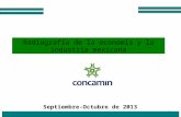 1 Radiografía de la economía y la industria mexicana Septiembre-Octubre de 2013.
