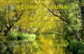 Flora y fauna de Castilla la Mancha