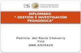 Patricia del Rocio Chávarry Ysla ANR.A929420 DIPLOMADO GESTIÓN É INVESTIGACIÓN PEDAGÓGICA.