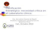 Dra. Ana Leticia Cáceres de Maselli Presidente Confederación Latinoamericana de Bioquímica Clínica Cali, Octubre 2010 Planificación Estratégica :necesidad.