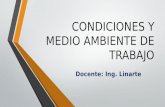 CONDICIONES Y MEDIO AMBIENTE DE TRABAJO Docente: Ing. Linarte.