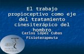 El trabajo propioceptivo como eje del tratamiento cinesiterápico del hombro Carlos López Cubas Fisioterapeuta.