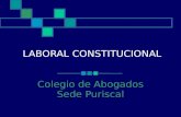 LABORAL CONSTITUCIONAL Colegio de Abogados Sede Puriscal.