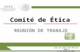 Comité de Ética REUNIÓN DE TRABAJO Sala de Juntas del Oficial Mayor 27 de enero de 2014.