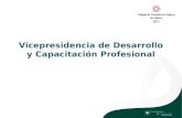 Vicepresidencia de Desarrollo y Capacitación Profesional.