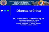 Diarrea crónica Dr. Juan Antonio Martínez Segura. Departamento de Medicina Interna Servicio de Gastroenterología Hospital Universitario Dr. José E. González.