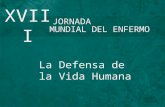 XVIII MUNDIAL DEL ENFERMO JORNADA La Defensa de la Vida Humana.