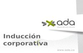ADA S.A, empresa fundada en 1991, ha logrado durante los últimos años la madurez necesaria para brindar soluciones integrales (Consultoría de Tecnologías.