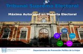 Tribunal Supremo Electoral Máxima Autoridad en Materia Electoral Acuerdo 38-2013 Objetivo MisiónVisión Activida des Departamento de Promoción Política.