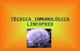 TÉCNICA INMUNOLÓGICA LINFOPRED. FUNDAMENTO La técnica LINFOPRED consiste en la obtención de linfocitos totales. Esta técnica inmunológica es muy manual.