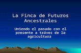 La Finca de Futuros Ancestrales Uniendo el pasado con el presente a tráves de la agricultura.