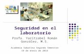 Seguridad en el laboratorio Profa. Yaritzabel Román González, M.S. Academia Sabatina Segundo Semestre 19 de enero de 2013.