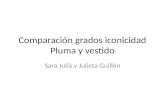 Comparación grados iconicidad Pluma y vestido Sara Julià y Julieta Guillén.