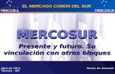EL MERCADO COMÚN DEL SUR MERCOSUR Abril de 2011 Sector de Asesoría Técnica - SM MERCOSUR Presente y futuro. Su vinculación con otros bloques.