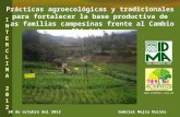 30 de octubre del 2012 Gabriel Mejía Duclós Prácticas agroecológicas y tradicionales para fortalecer la base productiva de las familias campesinas frente.