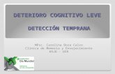 DETERIORO COGNITIVO LEVE DETECCIÓN TEMPRANA MPsc. Carolina Boza Calvo Clínica de Memoria y Envejecimiento HSJD - UCR.