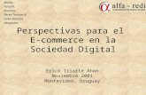 Muñiz, Forsyth, Ramirez, Perez-Taiman & Luna-Victoria Abogados Perspectivas para el E-commerce en la Sociedad Digital Erick Iriarte Ahon Noviembre 2001.