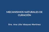 M ECANISMOS NATURALES DE CURACIÓN Dra. Ana Lilia Vásquez Martínez.