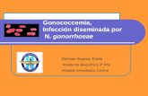 Gonococcemia, Infección diseminada por N. gonorrhoeae Martinez Segovia, Estela Residente Bioquímica 3º Año Hospital Aeronáutico Central.