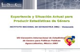 Experiencia y Situación Actual para Producir Estadísticas de Género INSTITUTO NACIONAL DE ESTADISTICA (INE) - Venezuela VIII Encuentro Internacional de.