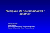 Tècniques de neuromodulació i ablatives C. Busquets i Julià Unitat de Dolor Anestesiologia, Reanimació i Terapéutica del Dolor Hospital Universitari de.