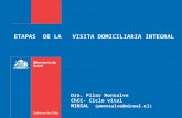 ETAPAS DE LA VISITA DOMICILIARIA INTEGRAL Dra. Pilar Monsalve ChCC- Ciclo vital MINSAL (pmonsalve@minsal.cl)
