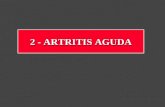 2 - ARTRITIS AGUDA. Artritis Aguda Afecta en la infancia antes de los 3 años (recién nacido ++) Compromete sobre todo la rodilla y la cadera.