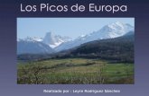 Los Picos de Europa (Leyre Rodríguez)