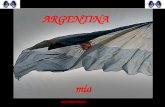 Argentina  feliz bicentenario-