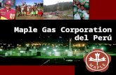 Maple Gas Corporation del Perú. En Maple generamos energía bajo estrictos procedimientos de protección al medio ambiente y respeto por nuestro entorno,