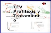 TEV Profilaxis y Tratamiento. Axiomas y Trombosis 1.- Trombosis arteriales y venosas son las causas mas frecuentes Iª ó IIª de morbimortalidad en nuestra.