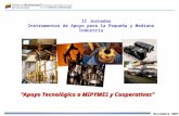 Noviembre 2007 Apoyo Tecnológico a MIPYMES y Cooperativas II Jornadas Instrumentos de Apoyo para la Pequeña y Mediana Industria.