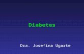 Diabetes Dra. Josefina Ugarte. Diabetes 4,2 % población chilena tiene diabetes. 4,8% son hombres 3,8% son mujeres 15,2% mayores 65 años son diabéticos.